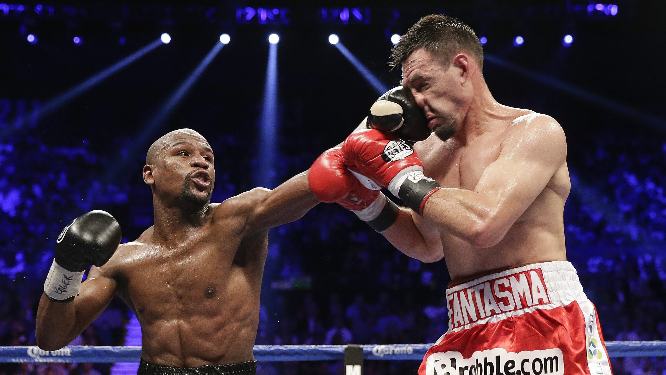 荷兰马术协会与澳大利亚马术协会签署人才交流协议，促进双向发展。